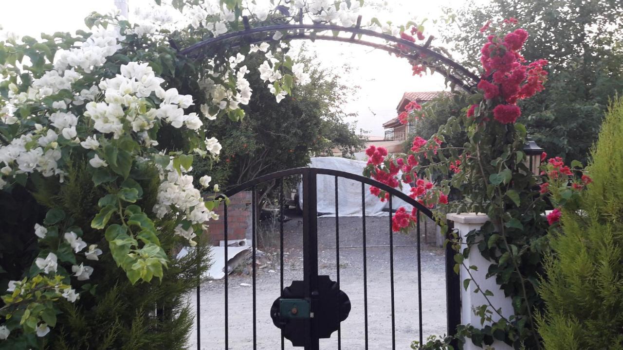 Villa Ebrar Dalyan Muğla Exterior foto