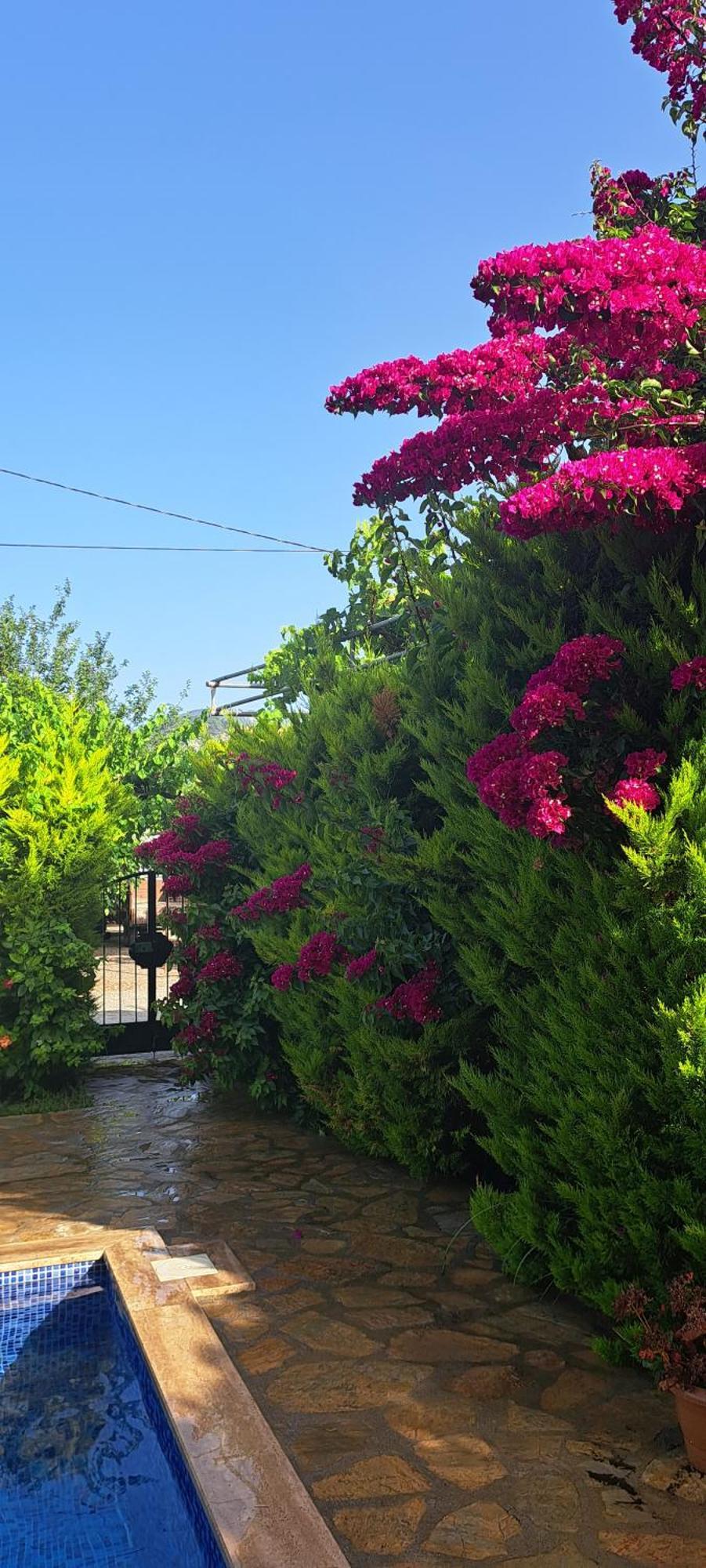 Villa Ebrar Dalyan Muğla Exterior foto